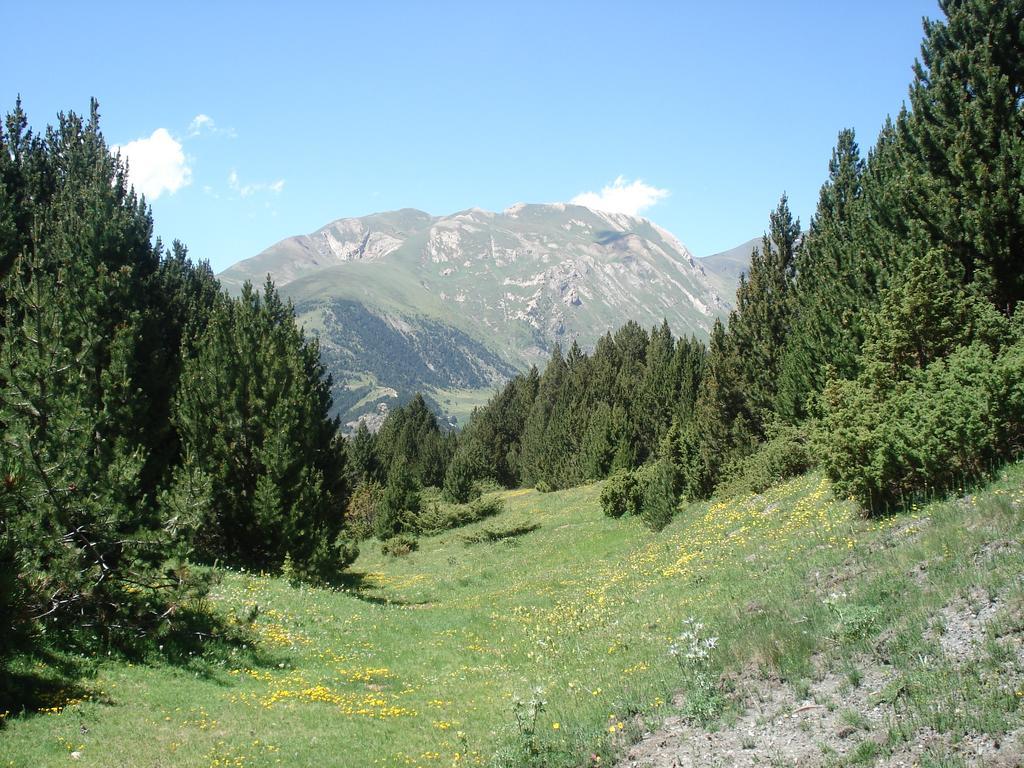 Vila Xalet Riba - Hut 8077 Arinsal Exteriér fotografie